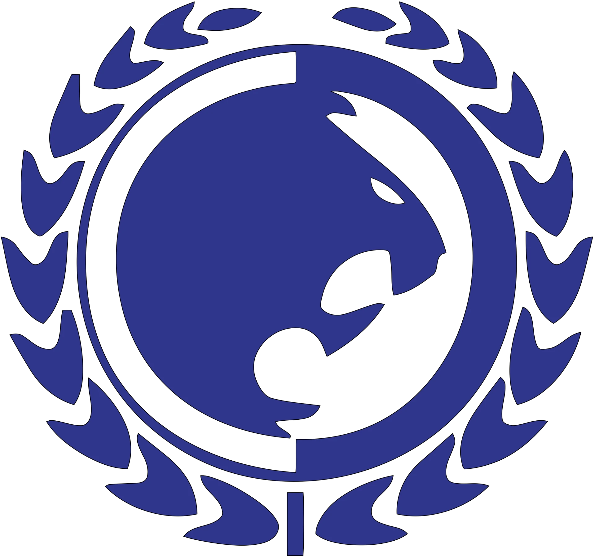 Renzo Gracie BJJ